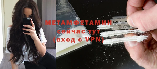 сатива Богородицк
