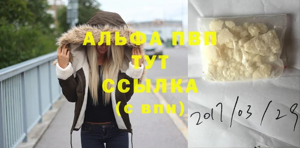 сатива Богородицк