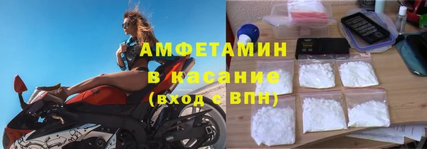 гидра Богданович