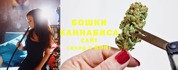сатива Богородицк