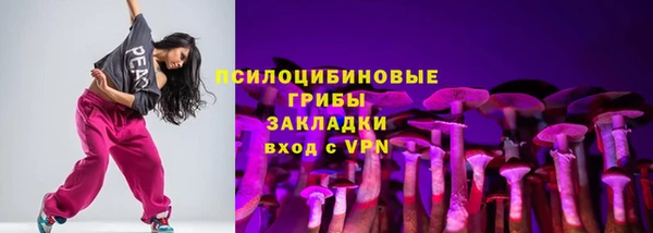 гидра Богданович