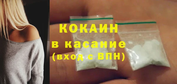 гидра Богданович