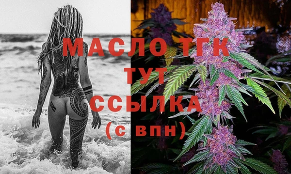 гидра Богданович