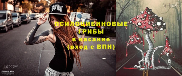 гидра Богданович